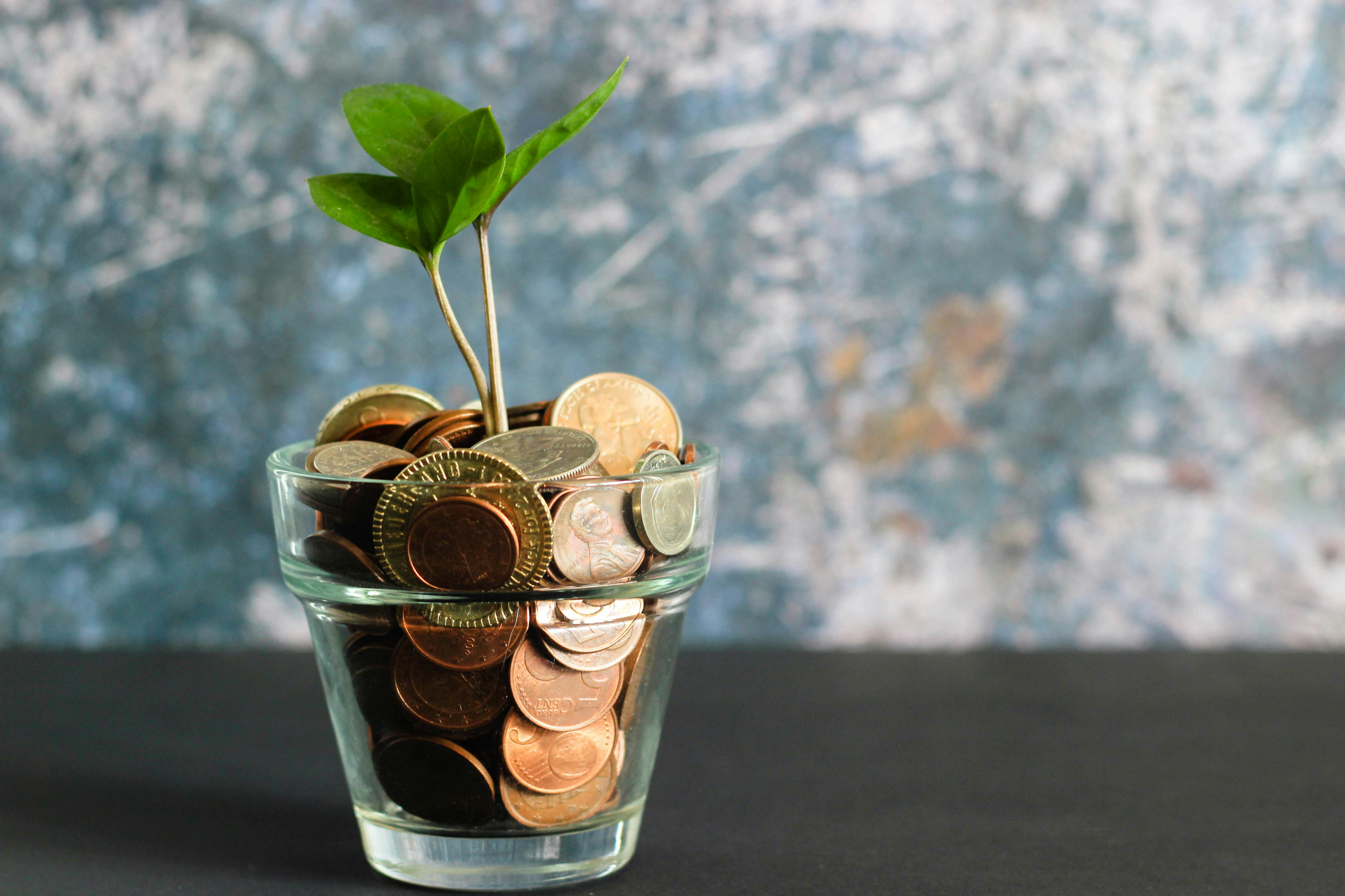 Finance and Agriculture